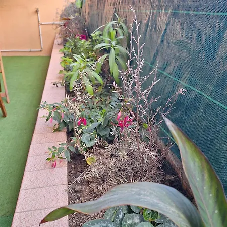 Appartement L Alicante Carre D'or 2 Pieces Terrasse Climatise